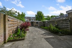 Tormentil 5 Castricum De Groot 15.JPG